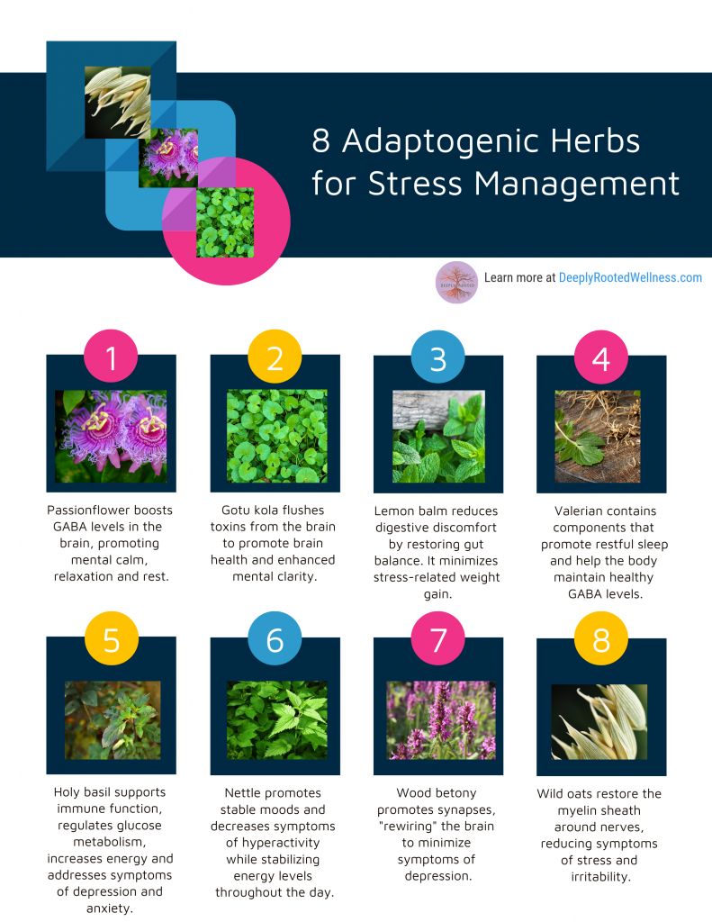 Infographic Adaptogenic Herbs for Stress Management Deeply Rooted