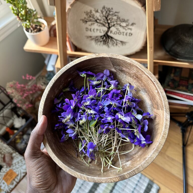violets in wooden bowl