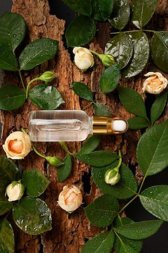 rose tincture in a clear bottle with a gold top, resting on a bed of tree bark, roses and leaves